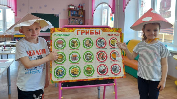 День грибов День грибов.