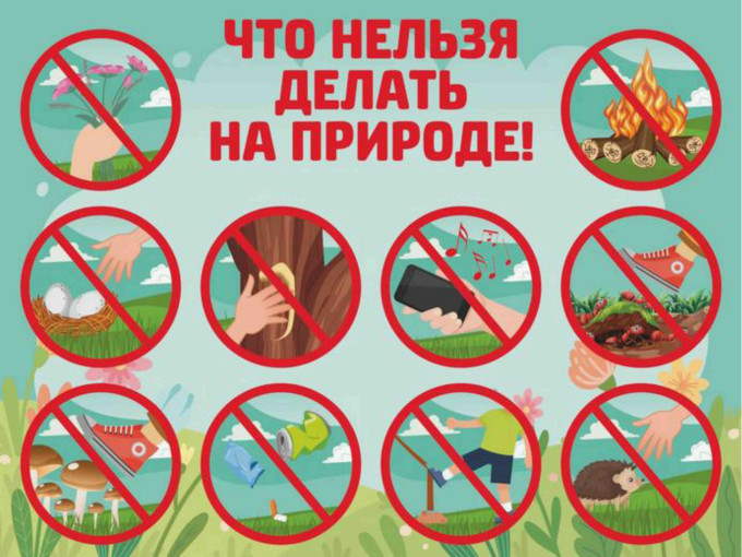 Правила поведения на природе Правила поведения на природе.